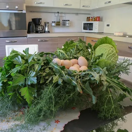 Hébergement de vacances Casetta Ficara Altomonte